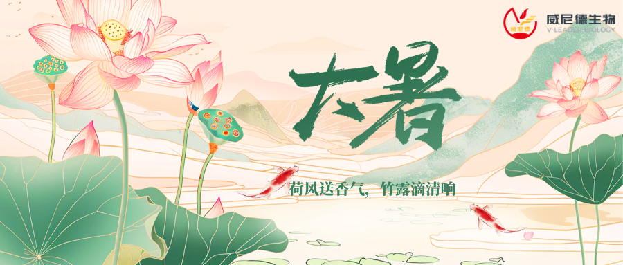 大暑时节科研加速器：威尼德Gene Pulser 830助力高效转染