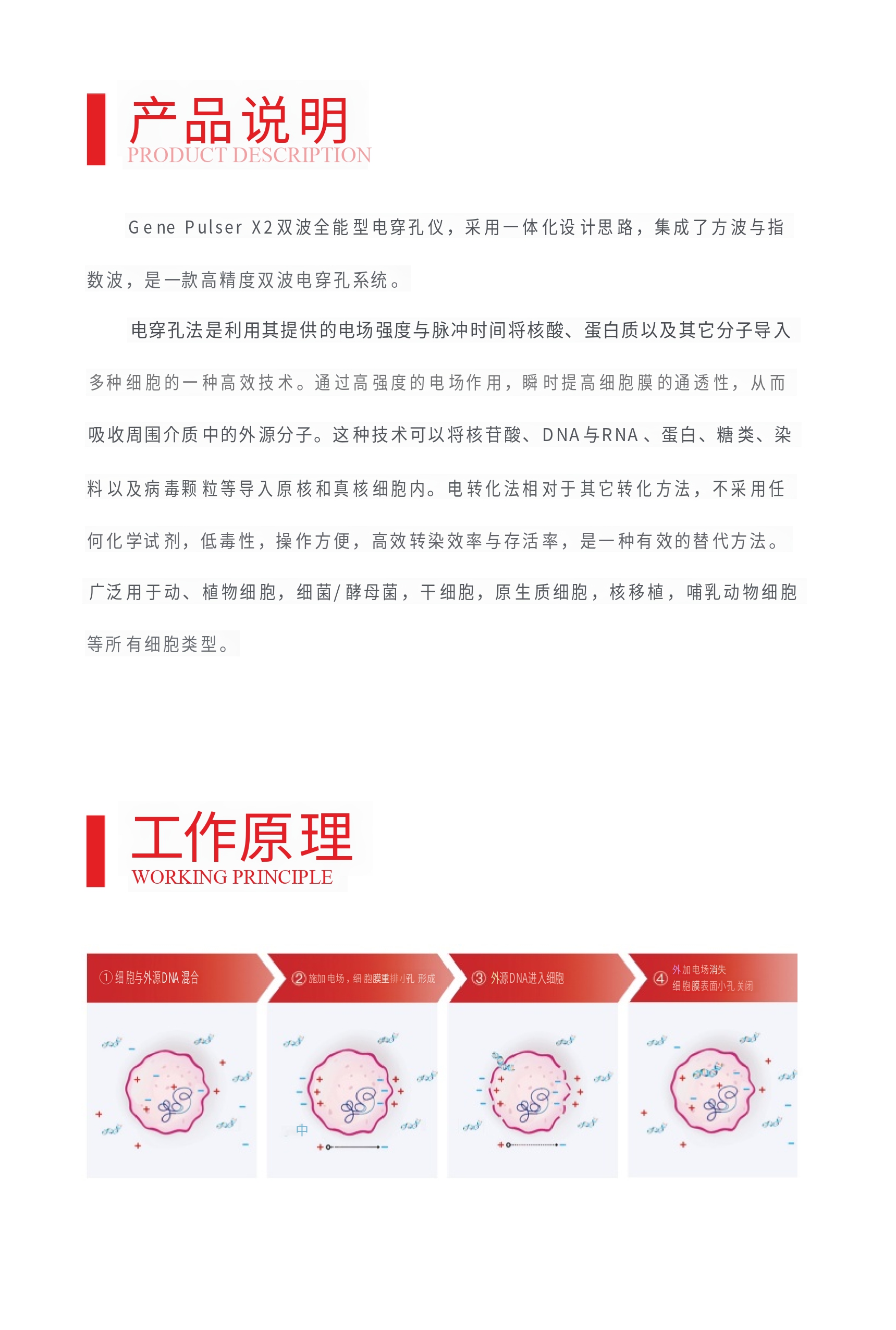 电穿孔仪双波全能型彩页_page-0005.jpg
