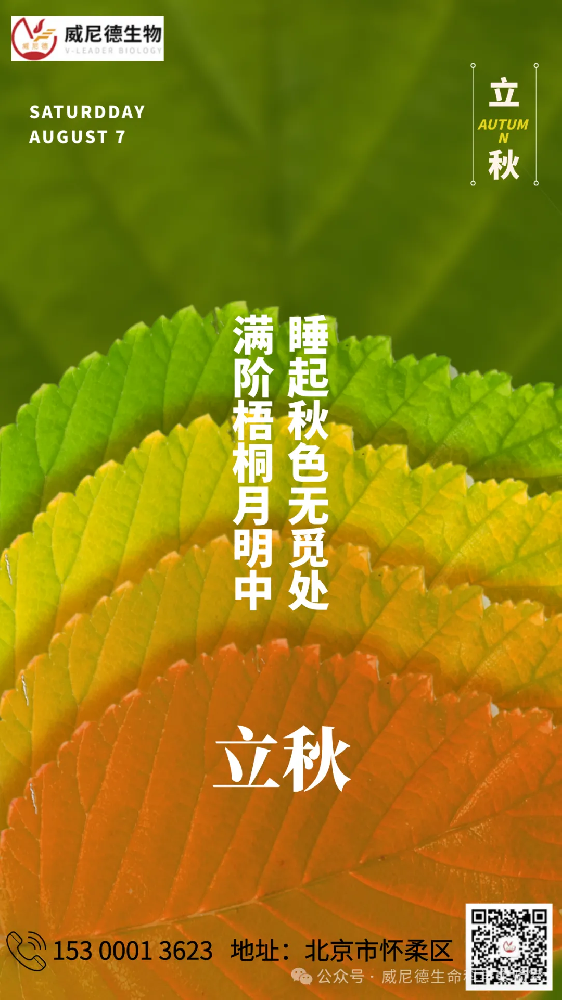 立秋：收获与展望的季节