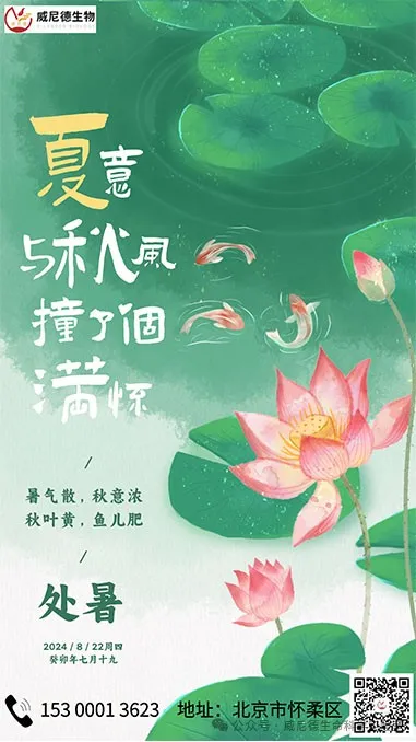 夏之尾声 秋之序章