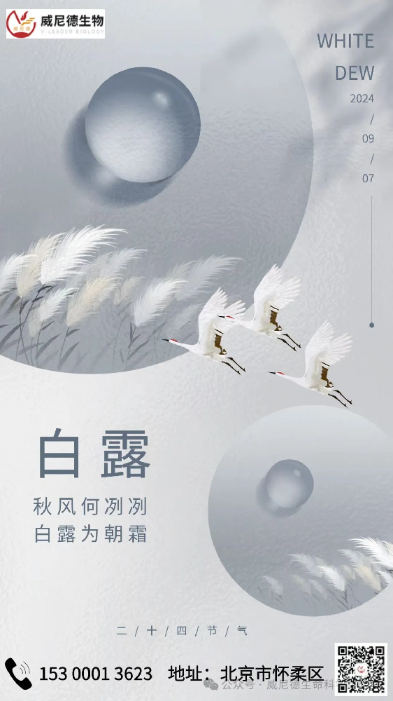 白露：诗意与科研共舞