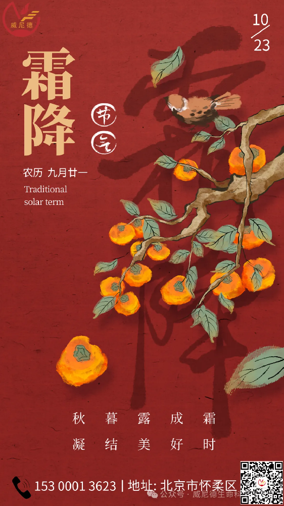 霜降：暮秋的诗意画卷与生命沉思