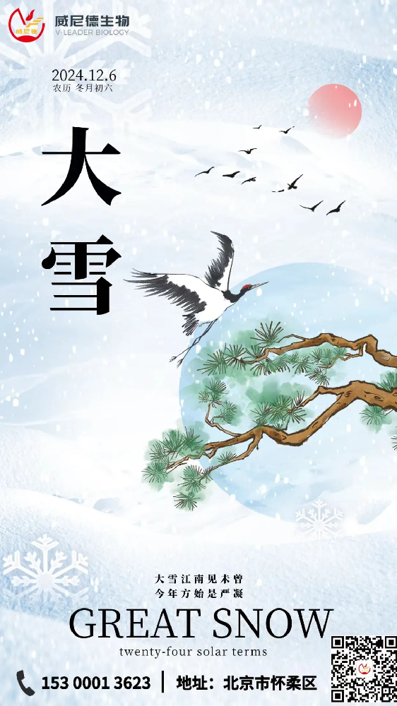 时光里的素白诗笺