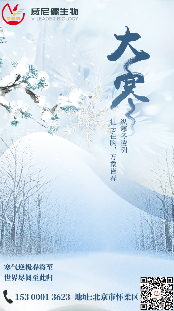 岁末大寒  静候春归