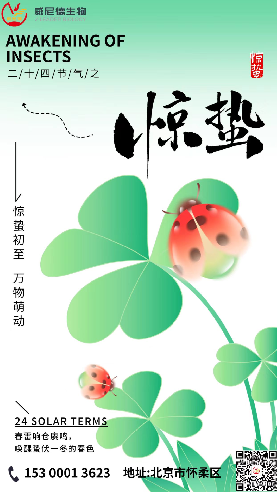 听见万物破茧的声音