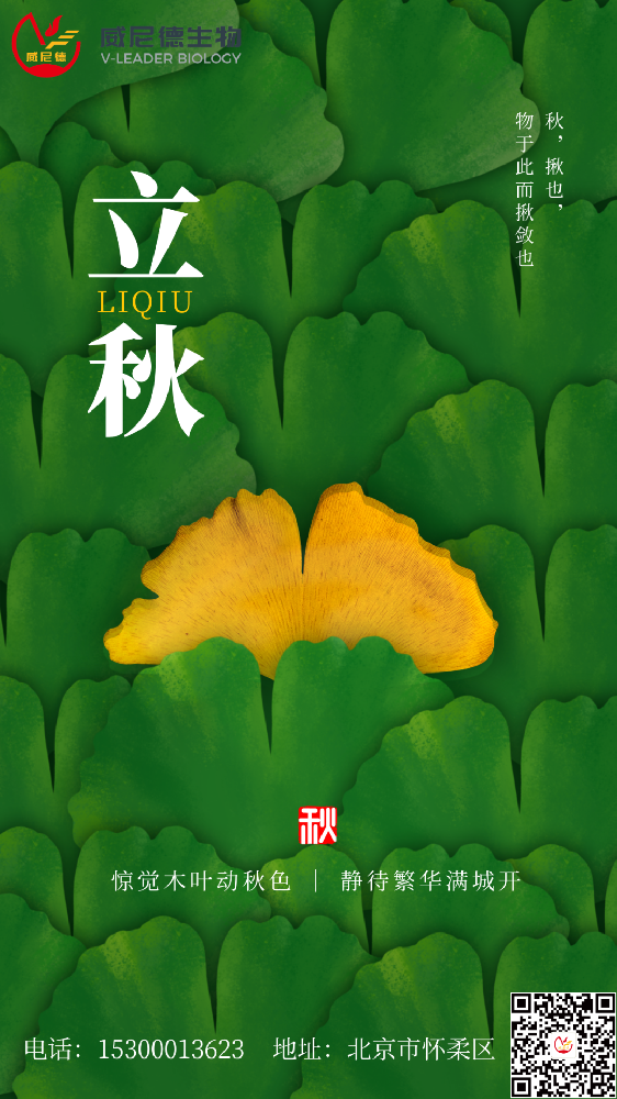 立秋物语：当分子病理研究邂逅精准温控时代