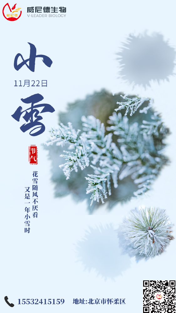 小雪至，万物藏 | 在静冬里，与威尼德一起储能向上