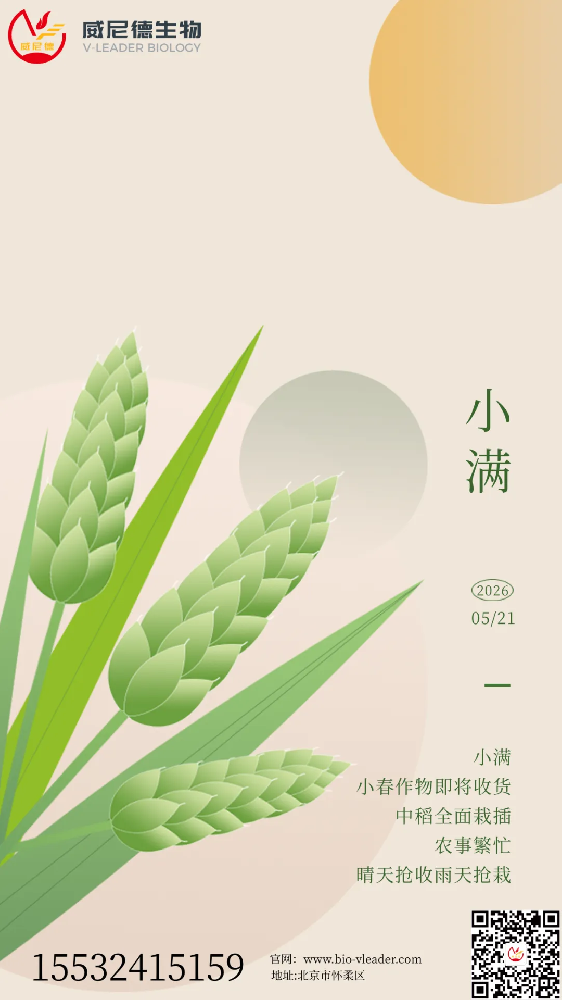 芒种：在实验室里，我们也忙着