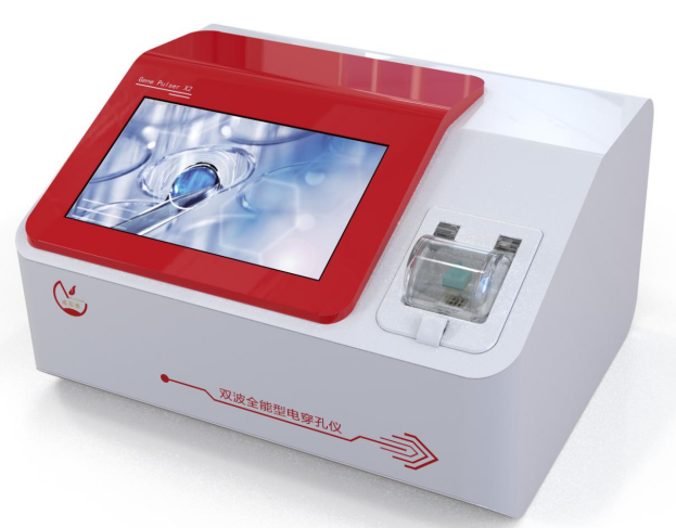 脂质体介导干扰素γ基因转染及其抗成纤维细胞增殖作用研究