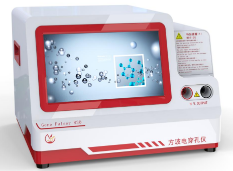 低温培养对大肠杆菌电穿孔转化效率的影响及实验优化方法