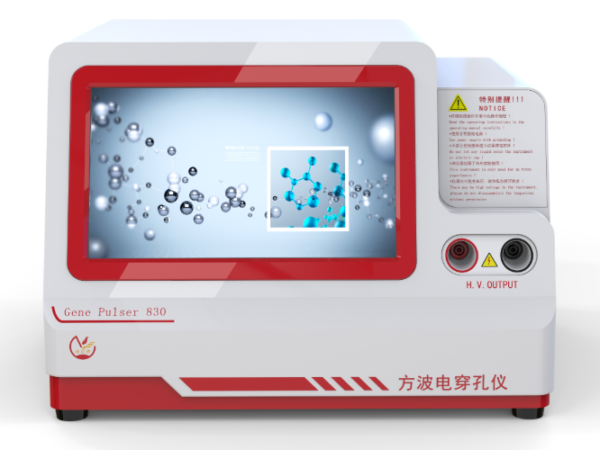 假结核耶氏菌质粒DNA电穿孔转化试验 操作步骤及转化率优化