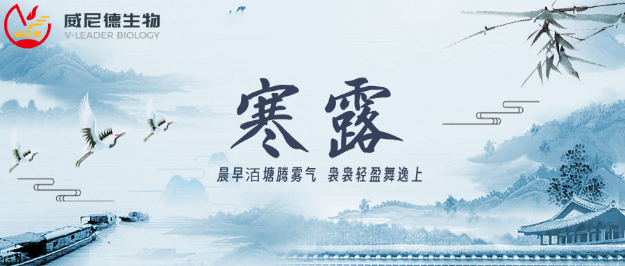 寒露｜秋意渐深，科研探索始终向前